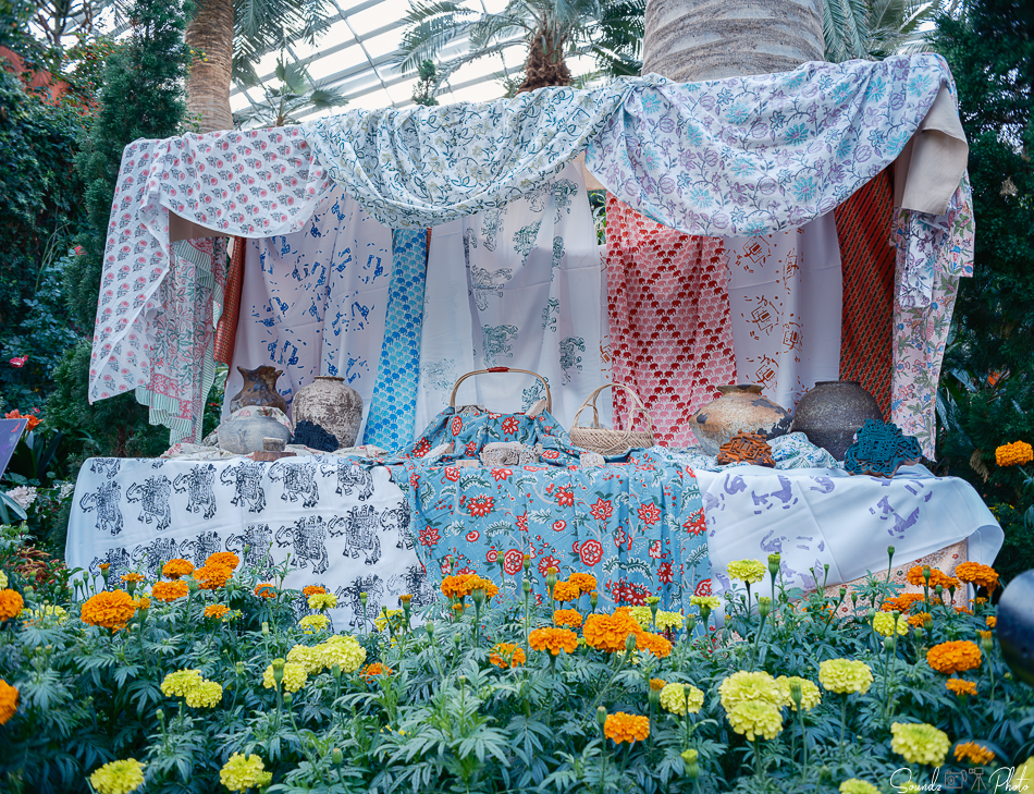 GFX100S II - Viltrox Canon EF 35mm f/2