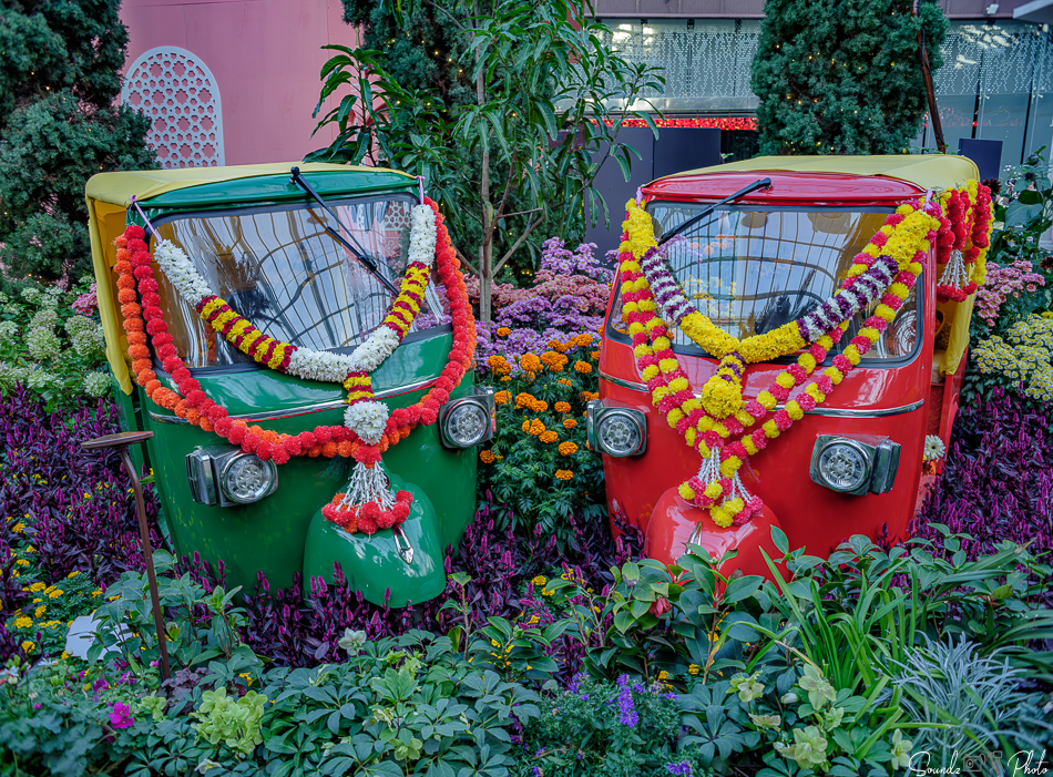 GFX100S II - Viltrox Canon EF 35mm f/2