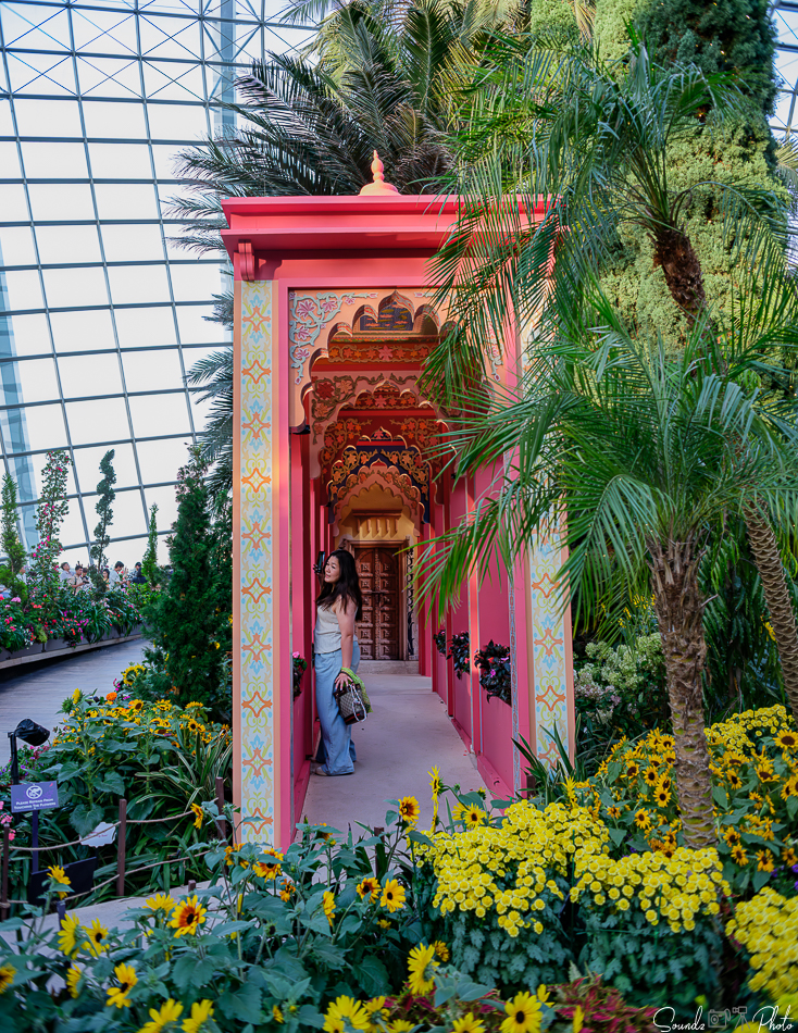 GFX100S II - Viltrox Canon EF 35mm f/2