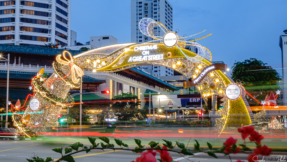 DSC-RX10M2 - 24-200mm F2.8