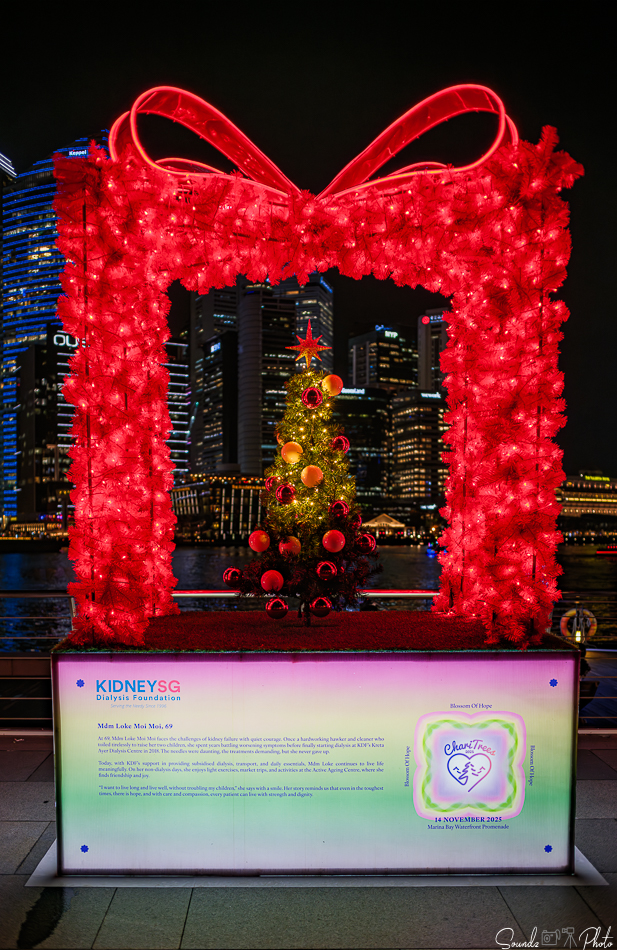 GFX100S II - Viltrox Canon EF 35mm f/2