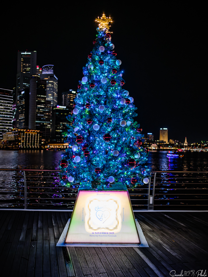 GFX100S II - Viltrox Canon EF 35mm f/2