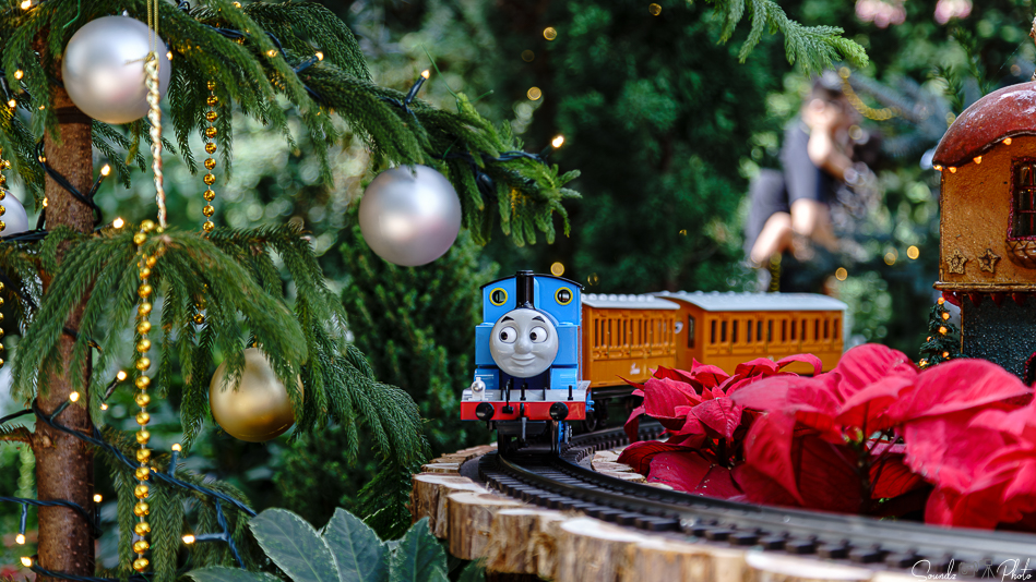 ILCE-7M3 - EF24-105/4L IS USM