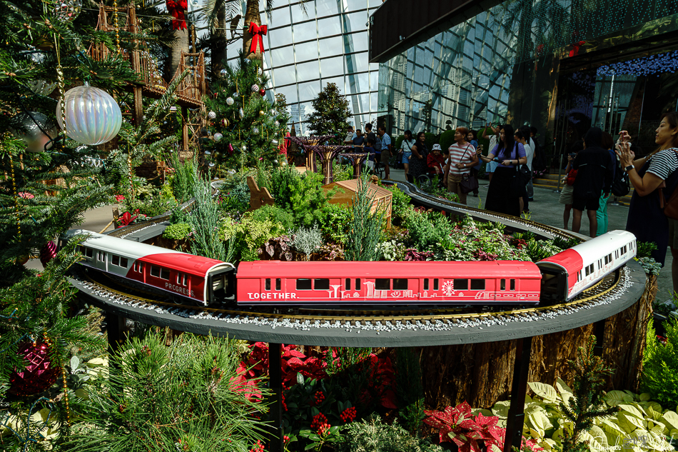 ILCE-7M3 - EF24-105/4L IS USM