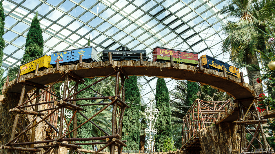 ILCE-7M3 - EF24-105/4L IS USM