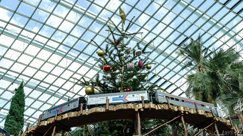 ILCE-7M3 - EF24-105/4L IS USM