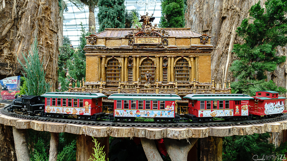 ILCE-7M3 - EF24-105/4L IS USM