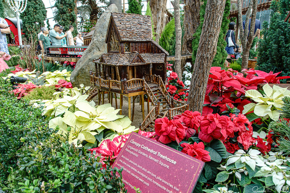 ILCE-7M3 - EF24-105/4L IS USM