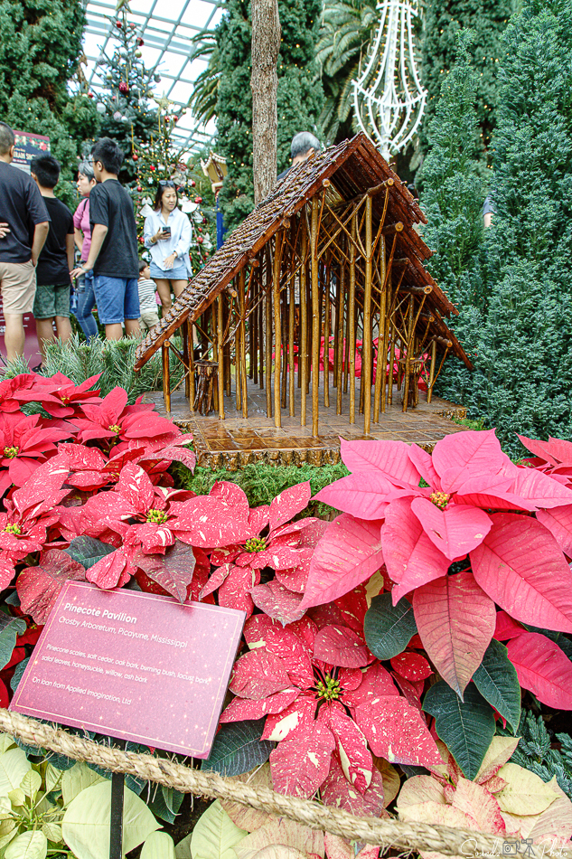 ILCE-7M3 - EF24-105/4L IS USM