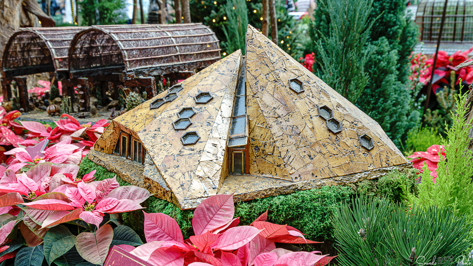 ILCE-7M3 - EF24-105/4L IS USM