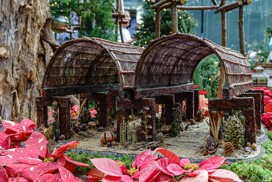 ILCE-7M3 - EF24-105/4L IS USM