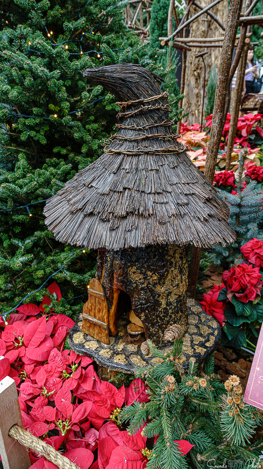 ILCE-7M3 - EF24-105/4L IS USM