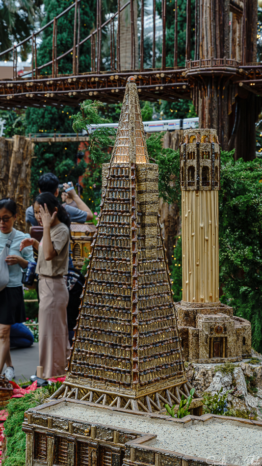 ILCE-7M3 - EF24-105/4L IS USM