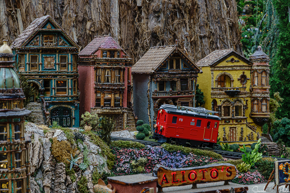 ILCE-7M3 - EF24-105/4L IS USM