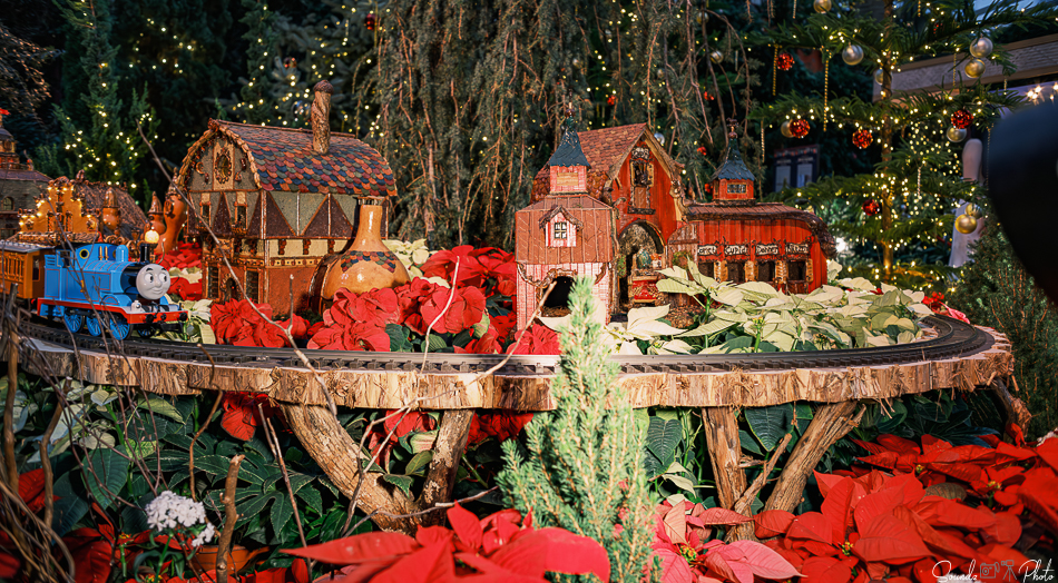 GFX100S II - Viltrox Canon EF 35mm f/2