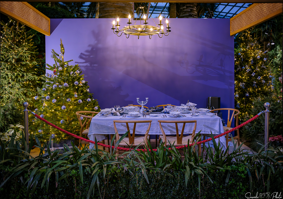 GFX100S II - Viltrox Canon EF 35mm f/2