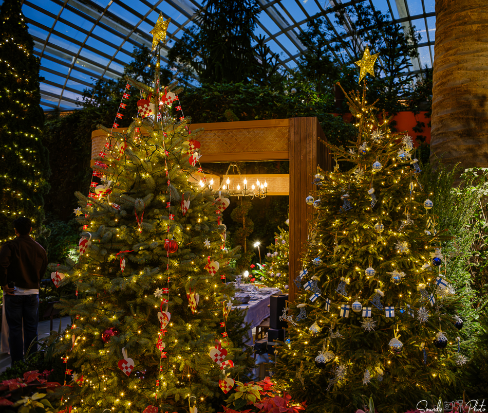 GFX100S II - Viltrox Canon EF 35mm f/2